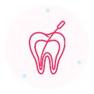Endodontia